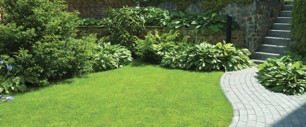 jardin jardin