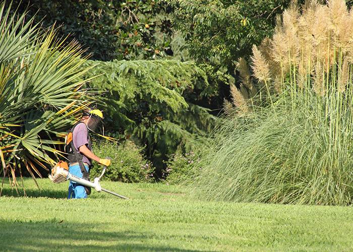coupe jardin